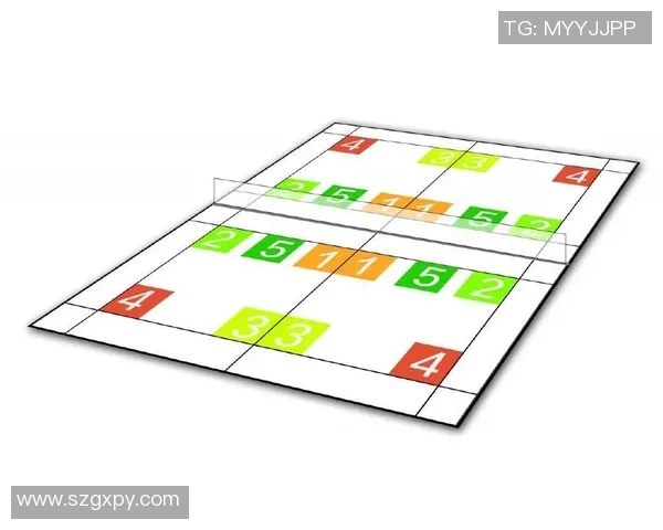 武汉羽毛球队战术表现深度分析与数据解读探讨 武汉羽毛球队战术表现深度分析与数据解读探讨