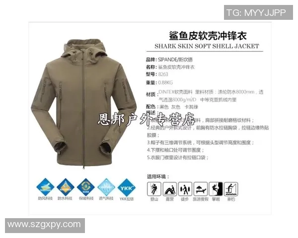 武汉攀岩队进攻策略深度分析与战术解读 武汉攀岩队进攻策略深度分析与战术解读