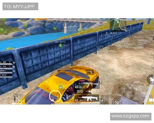 深度对话:李秀英在和平精英中的成长与人生探索 深度对话:李秀英在和平精英中的成长与人生探索