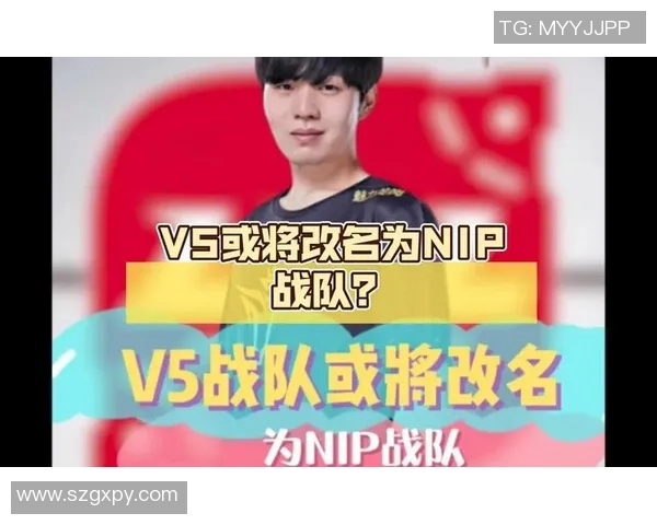 独家深度解析V5战队实力对比及其在赛场上的表现影响 独家深度解析V5战队实力对比及其在赛场上的表现影响