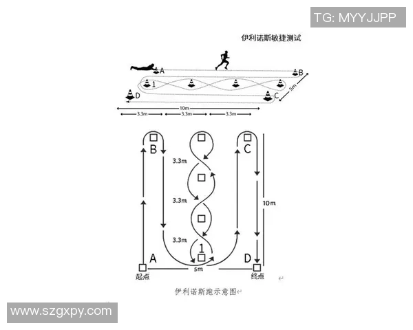 杭州飞盘队灵活性分析及其在比赛中的表现对比研究 杭州飞盘队灵活性分析及其在比赛中的表现对比研究