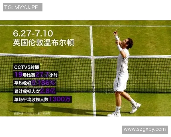 上海网球队技术表现深度解析与数据分析报告 上海网球队技术表现深度解析与数据分析报告