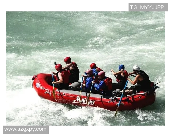 上海排球队的阵地战揭秘：深度解析战术与团队协作的完美结合