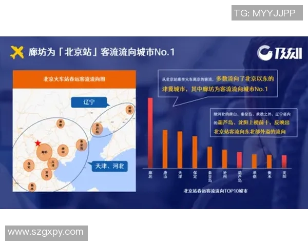 北京排球队耐力表现数据分析与训练策略探讨