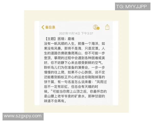 攀登人生的高度与深度王敏的攀岩故事与心路历程 攀登人生的高度与深度王敏的攀岩故事与心路历程