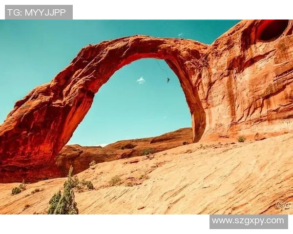 李强的极限运动人生:在挑战中寻找自我与成长的深度对话