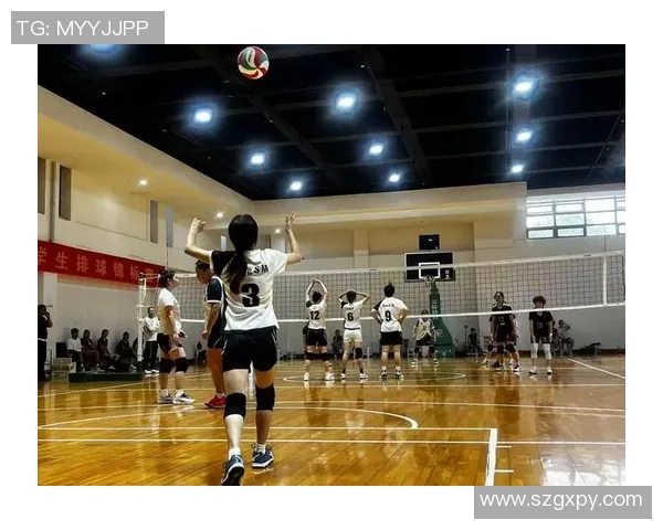 成都排球队的团队协作之道：如何在赛场上实现默契与配合
