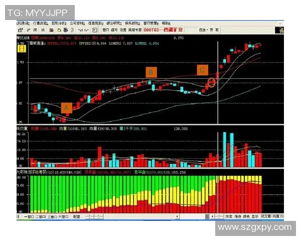 深入分析上海排球队防反战术的独特魅力与实战应用
