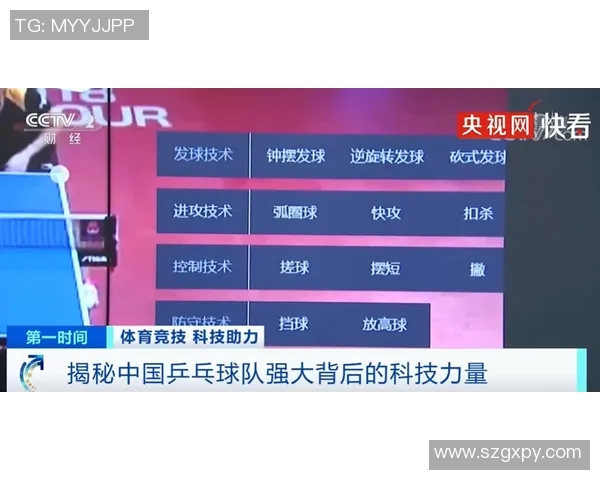 重庆排球队实力对比深度剖析与未来发展趋势探讨