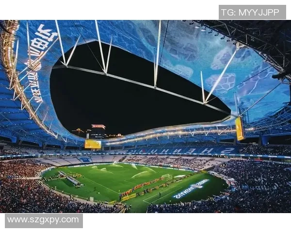 申花与华夏幸福的精彩对决回顾与分析全场亮点与战术解析