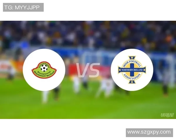 白俄罗斯与爱尔兰足球对决精彩回顾及赛后分析