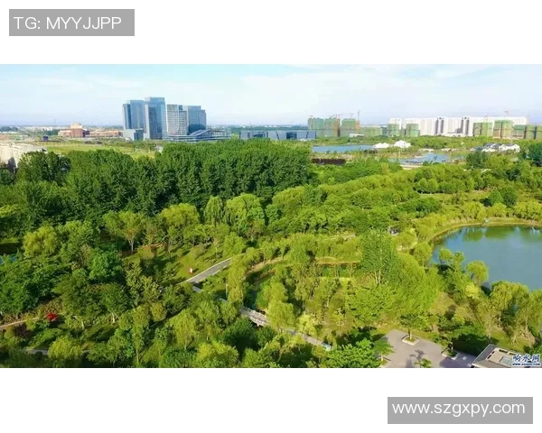 绿色森林与斯文登的生态对比与文化碰撞探讨