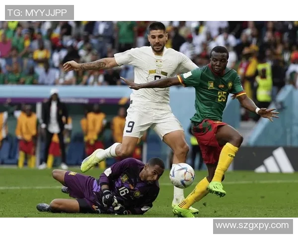 德国与喀麦隆比赛比分深度分析及战术解读 德国与喀麦隆比赛比分深度分析及战术解读